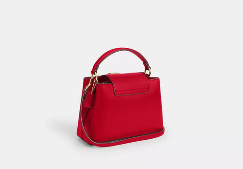 Coach Eliza Mini Carryall Bag