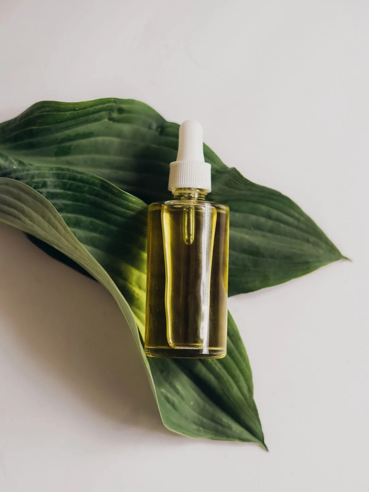 Unlabelled facial serum bottle resting on green leaves